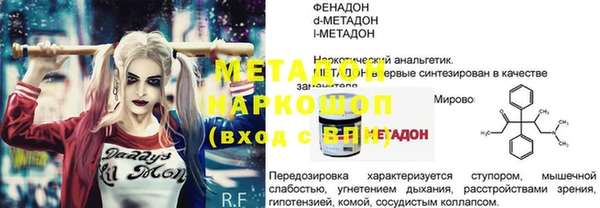 прущие грибы Переславль-Залесский